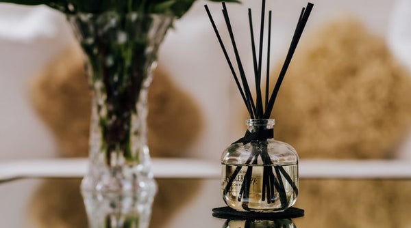 Long-Lasting Reed Diffusers | Candleberry - The Candleberry® Candle Company