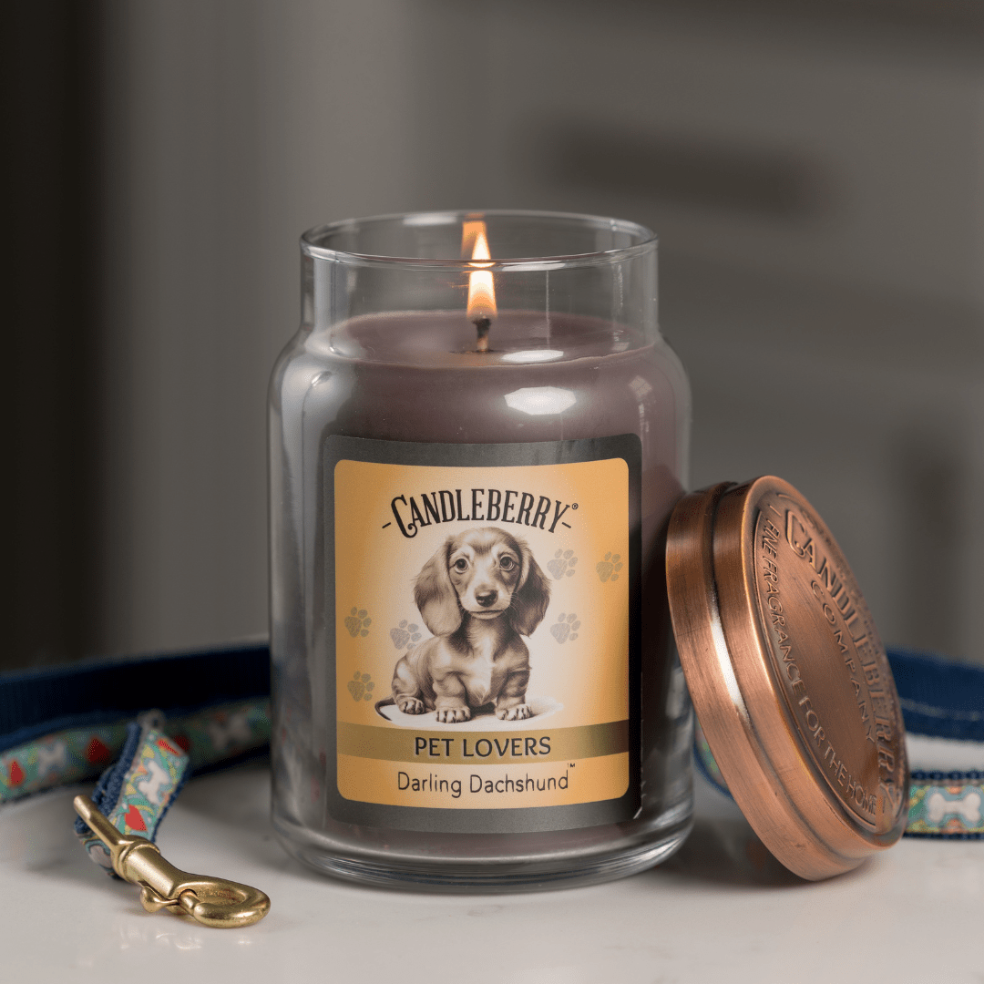 Darling Dachshund - Large Jar Candle